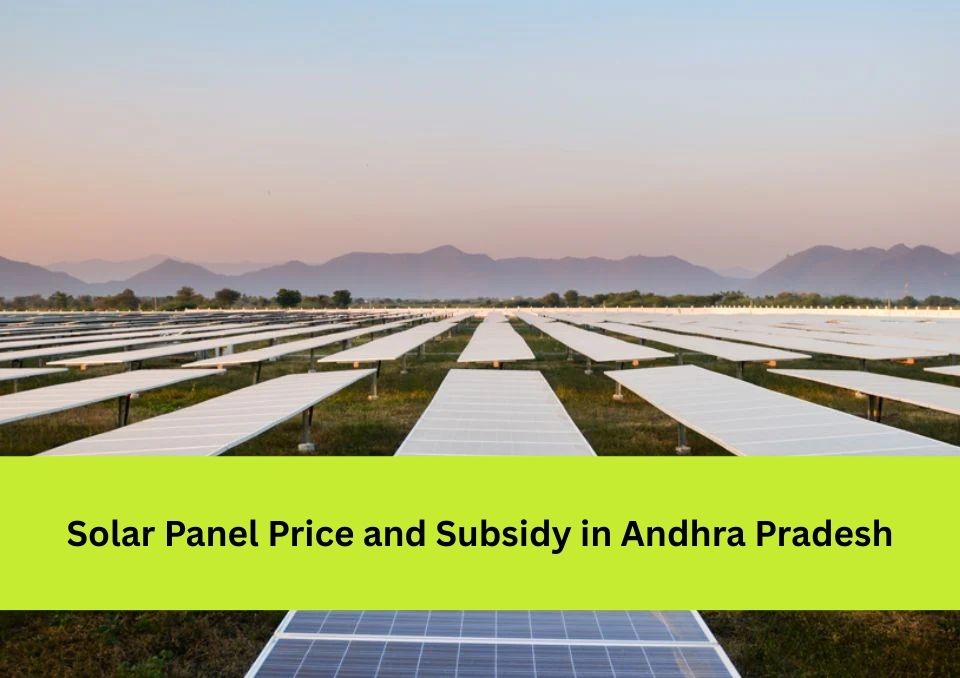 Solar Panel Price and Subsidy in Andhra Pradesh 2026  Bluebird Solar