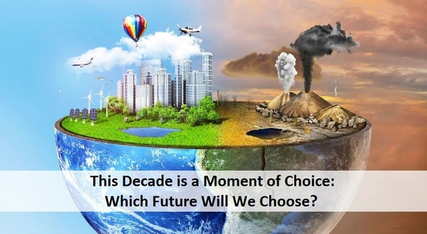 This Decade: A Moment of Decision - Which Path Will We Take?