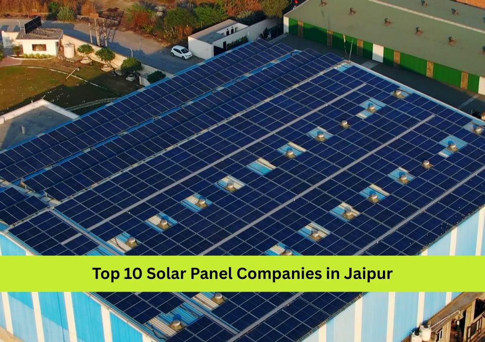 Top 10 Solar Panel Companies in Jaipur 2026