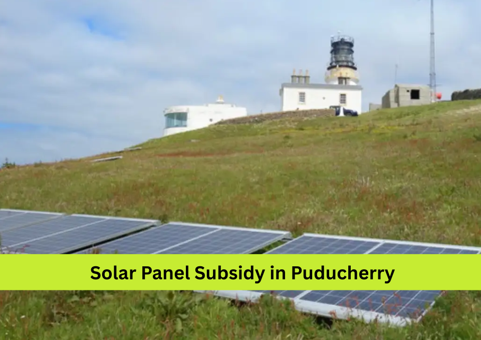 Solar Panel Price and Subsidy in Dadra and Nagar Havel (2025)