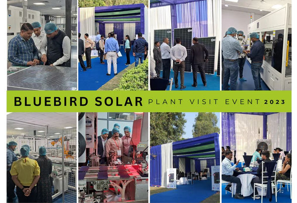 A Glimpse into Bluebird's Manufacturing Excellence & Half Cut PV Module Launch