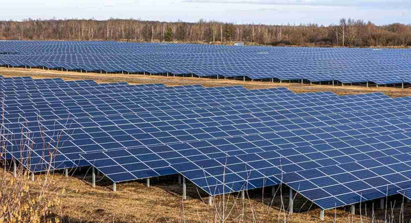 Govt Plans to Register Only Indian Solar Panels in ALMM : RK Singh
