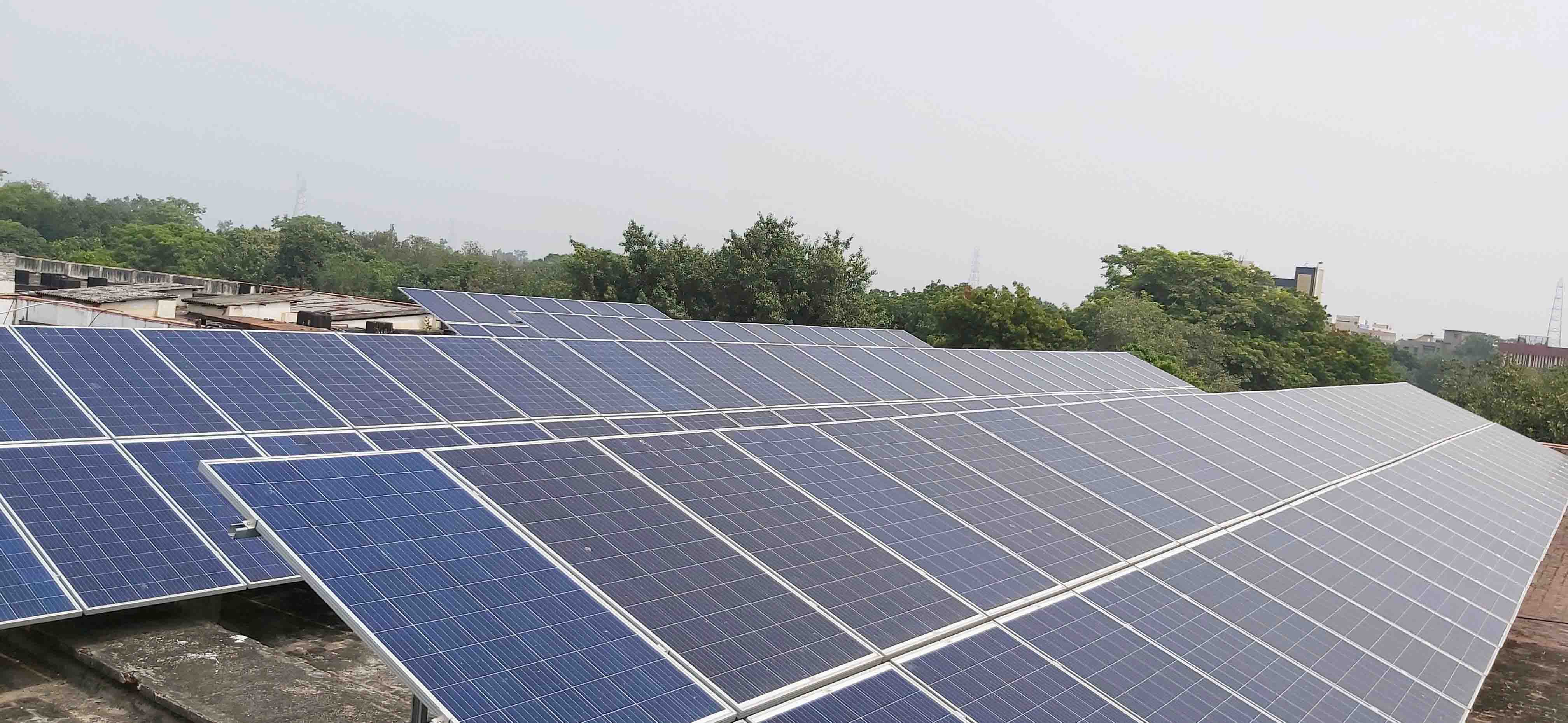 India's Leading Solar Panel Manufacturer – Bluebird Solar